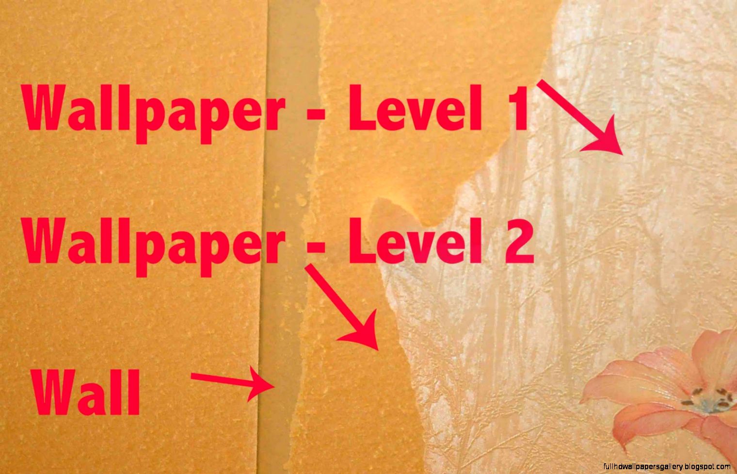 Beautiful Removing Wall Paper With How To Remove Wallpaper Paste