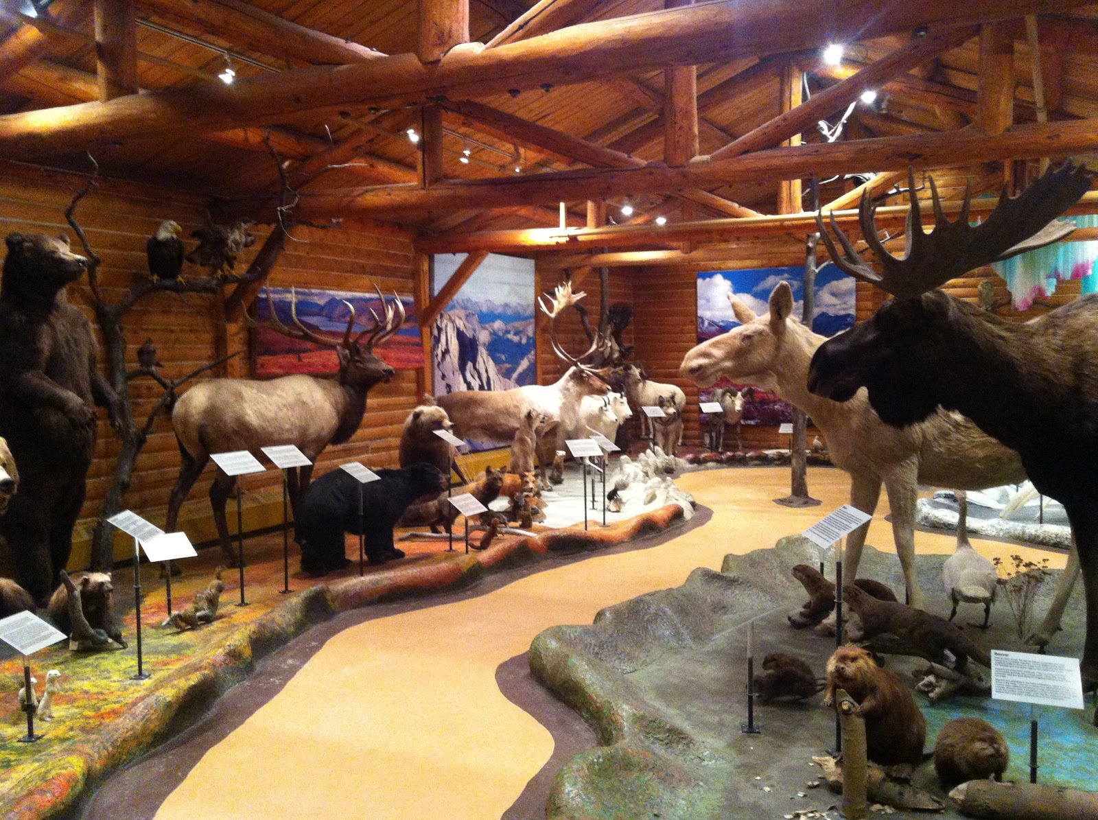 North of 60 MacBride Museum