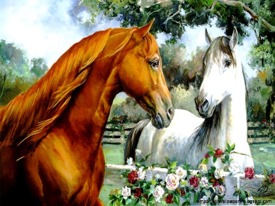 Horse Wallpapers Collection 38