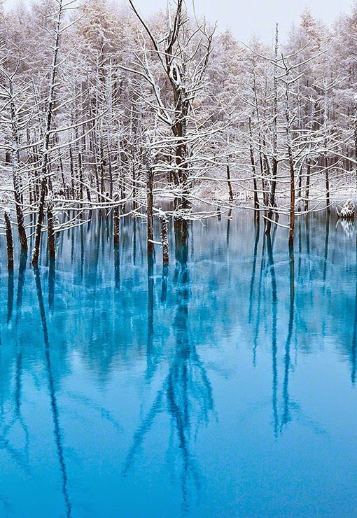 Biei, Hokkaido, Japan