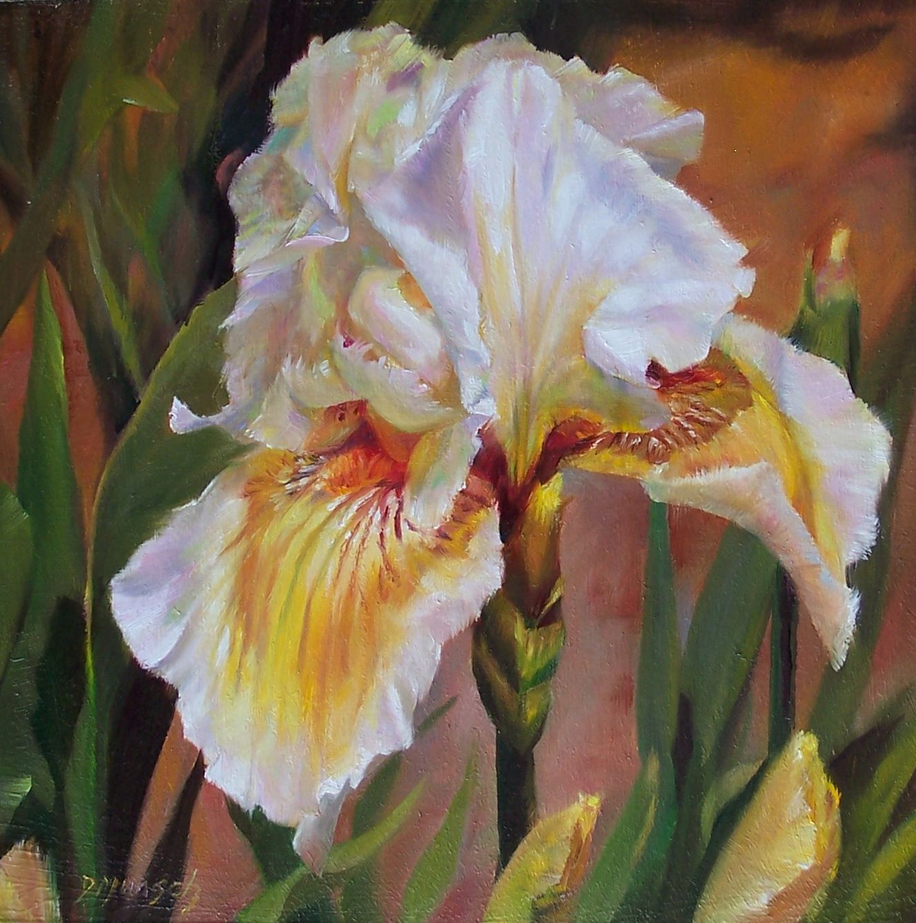 Donna Munsch Fine Art: Original Oil Painting Ruffled Iris