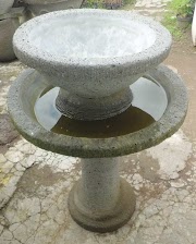 Ide Terbaru 22+ Harga Tanaman Hias Bunga Matahari