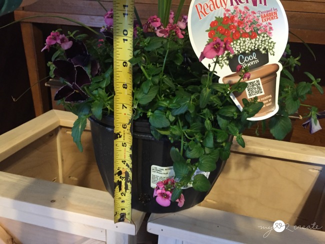 measuring planter height