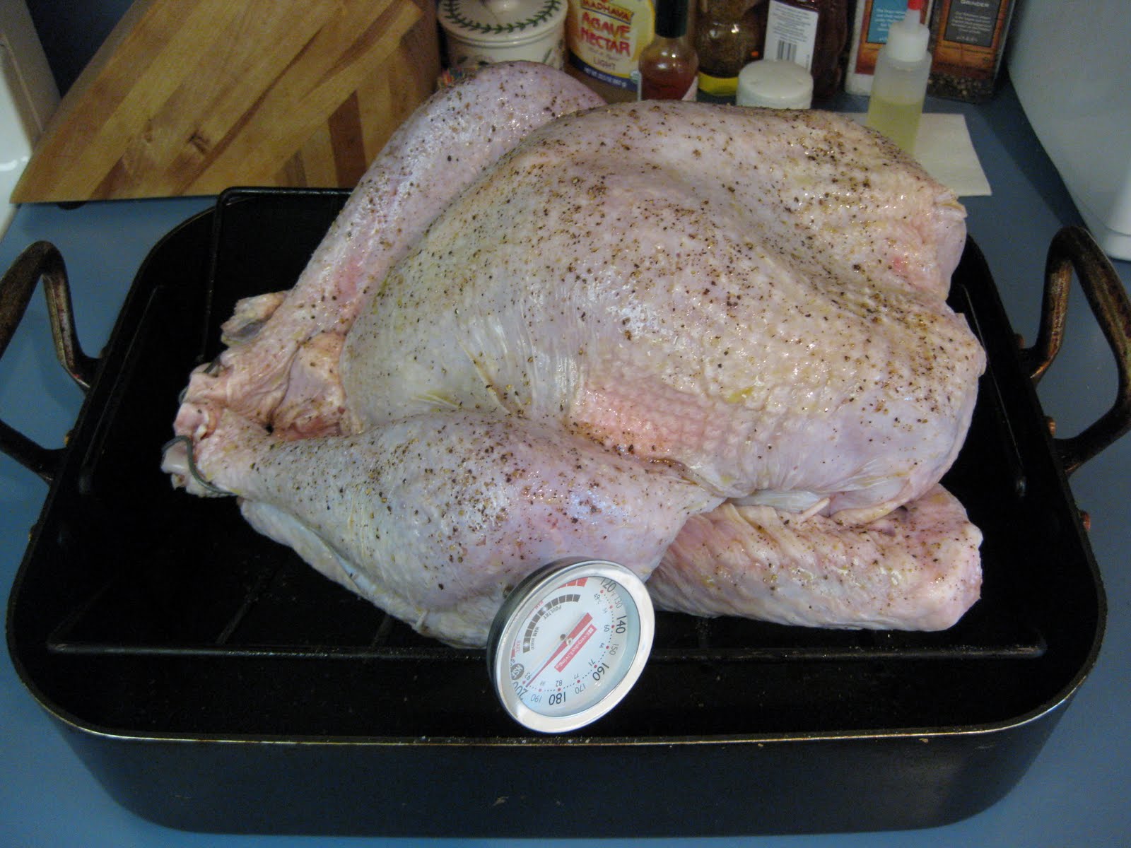 Kratika Sengar Xas Xxx - Meat thermometer in turkey breast - bare pic