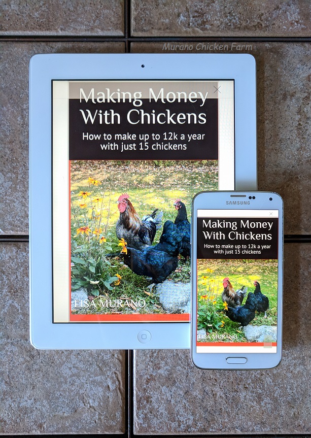Making Money With Chickens Murano Chicken Farm