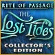 http://adnanboy.blogspot.com/2015/05/rite-of-passage-lost-tides-collectors.html