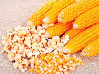 Bagaimana cara menciptakan popcorn dari jagung mentah Cara Membuat Popcorn dari Jagung Mentah