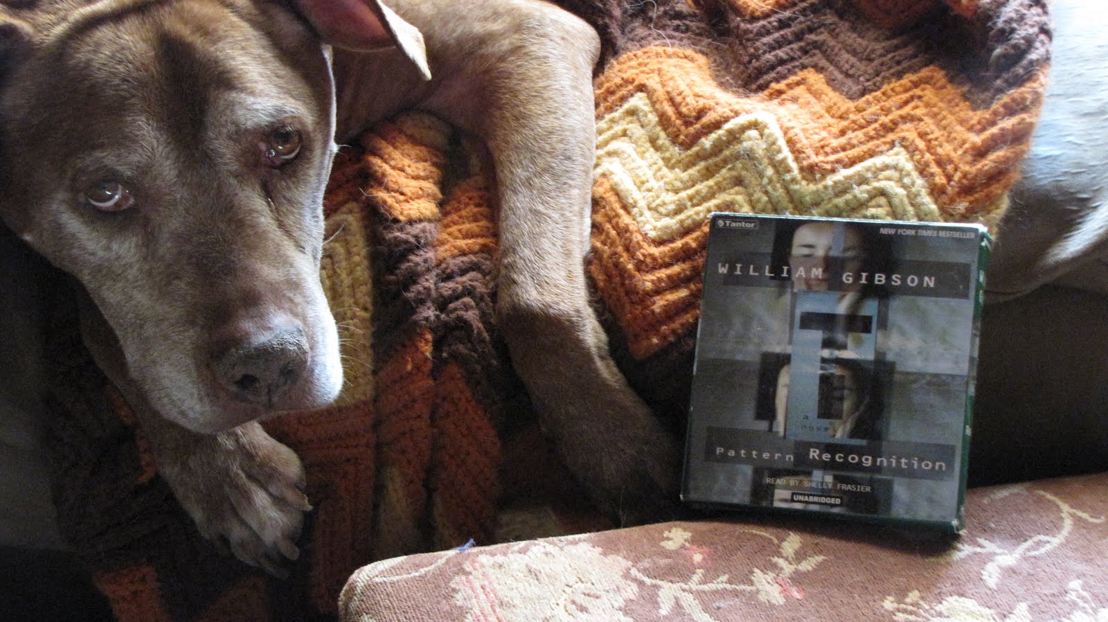my-awful-reviews-pattern-recognition-by-william-gibson
