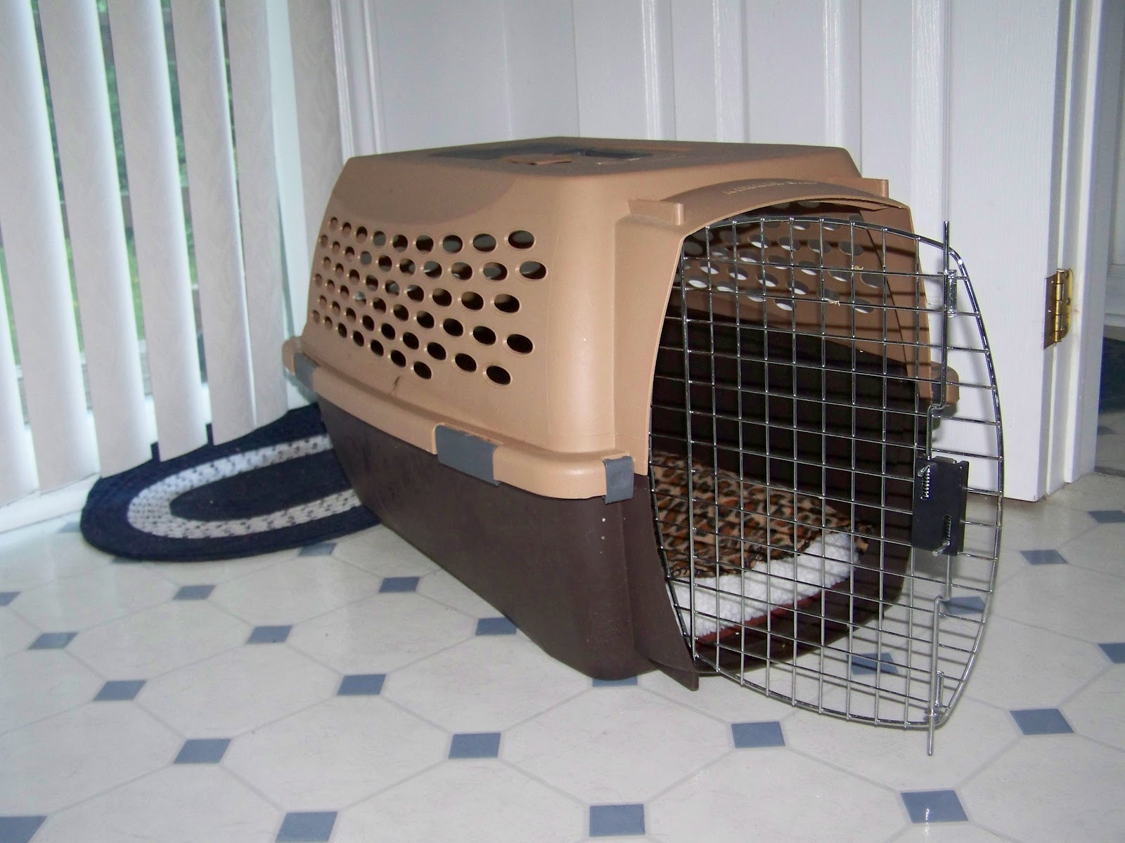 Adventures of a Garbage Picker The Diary of a Garbage Picker