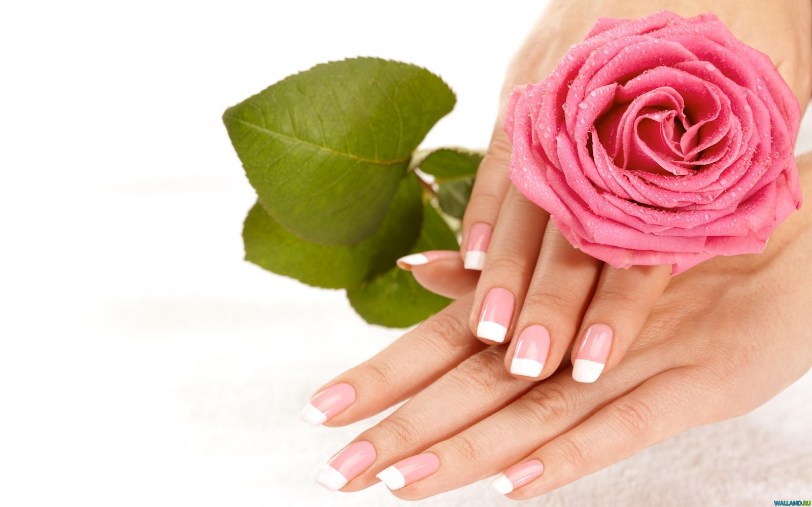 интернет-магазин 24shop.by: Набор для дизайна - за лучший маникюр!