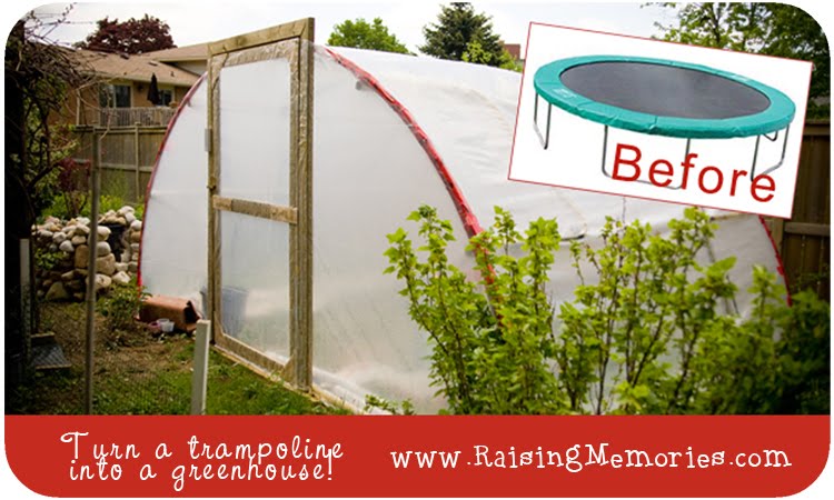 Raising Memories: Making & Documenting Family Memories: Turn a Trampoline into a Greenhouse!