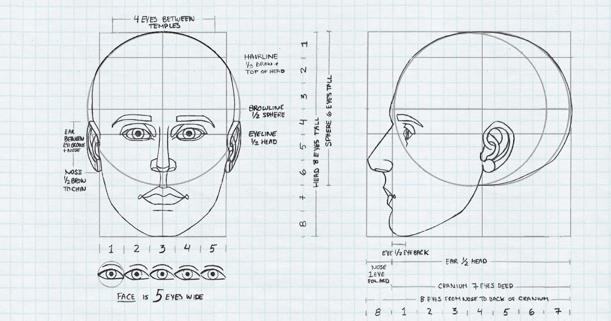 Draw Speak: Anatomy Diagrams