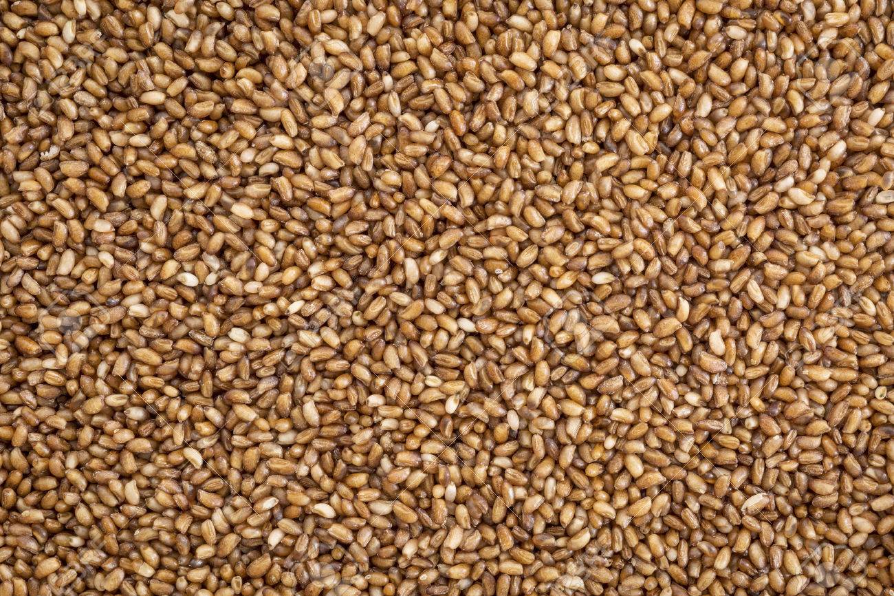 Health Benefits of Teff Grain