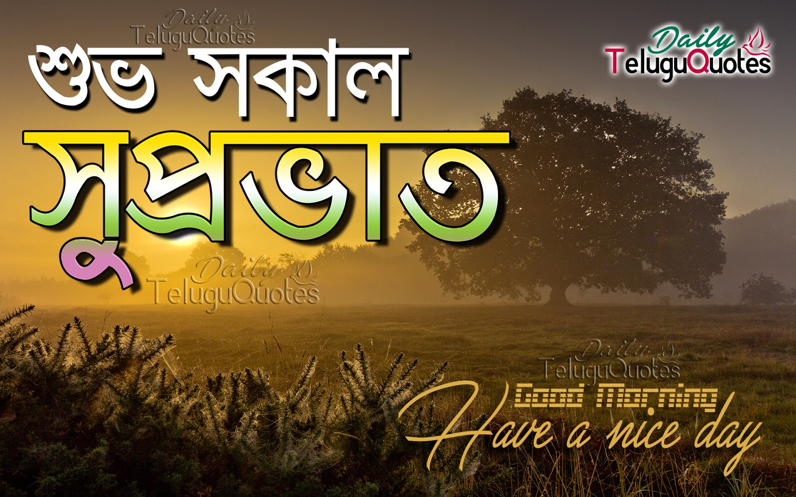 Bangla Good Morning Wishes Quotes with Bengali Quotations line