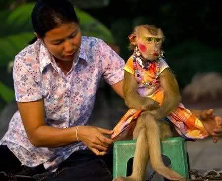 Gambar Monyet Model Lucu  Foto dan Gambar Lucu