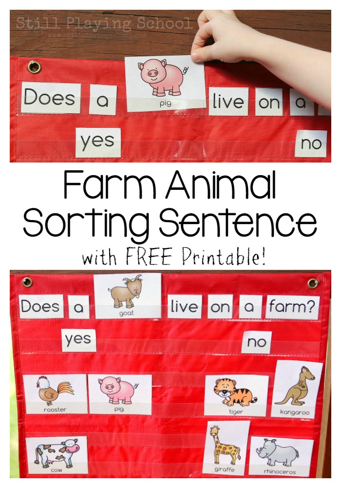 Farm Animal Sorting | Still Playing School