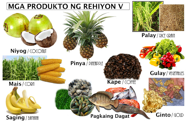 Mga Produkto Ng Rehiyon: Rehiyon V