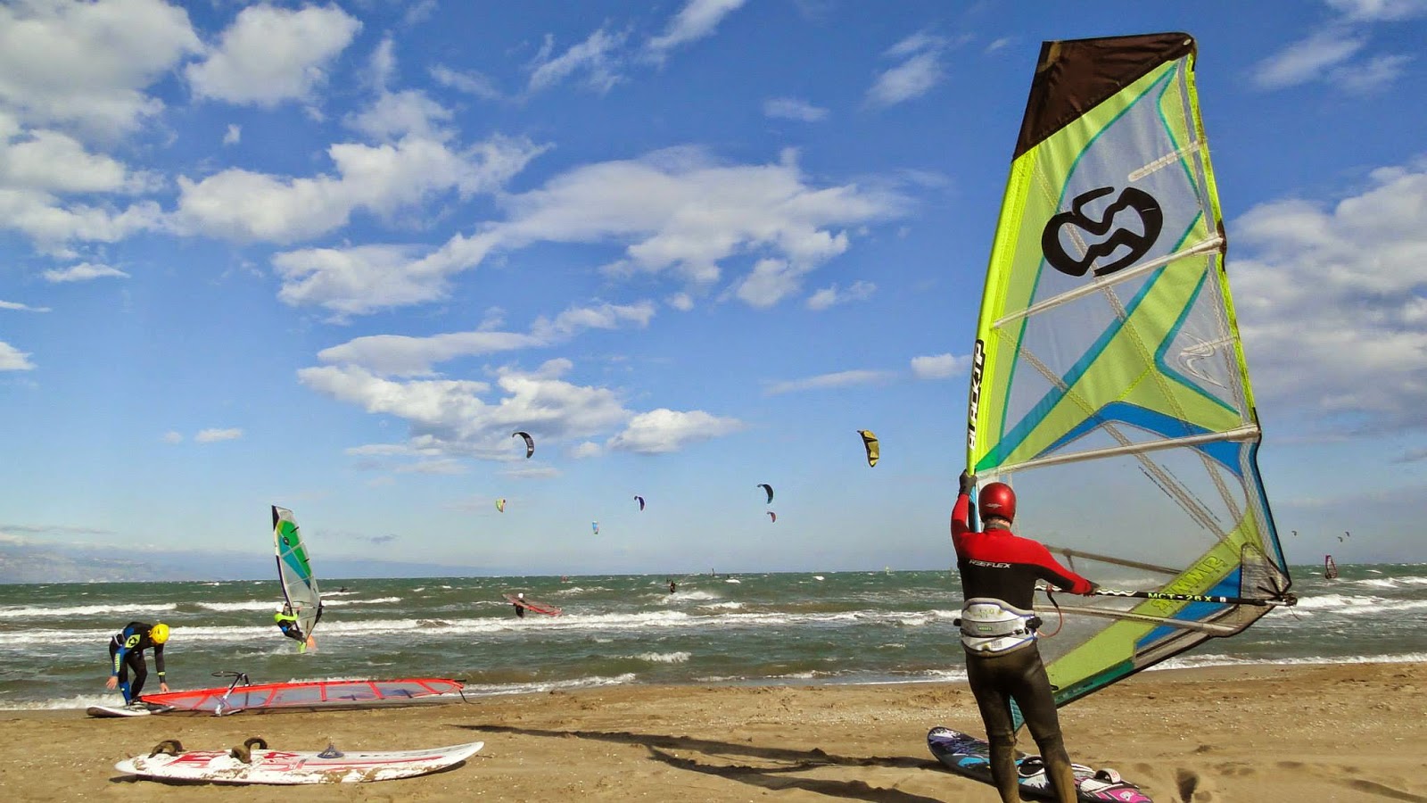 Vacaciones y actividades en el Delta del Ebro: 2015