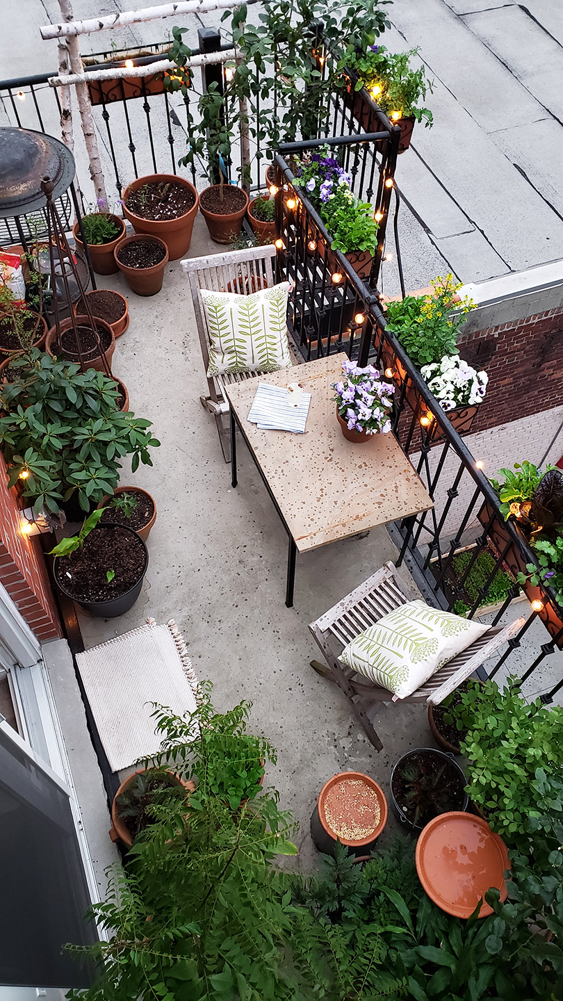 66 Square Feet Plus As I Write The Frenchman Is Headed Home To Brooklyn After An Afternoon S Paragliding Upstate And In A Few Weeks It Does Not Seem Real We Take Short