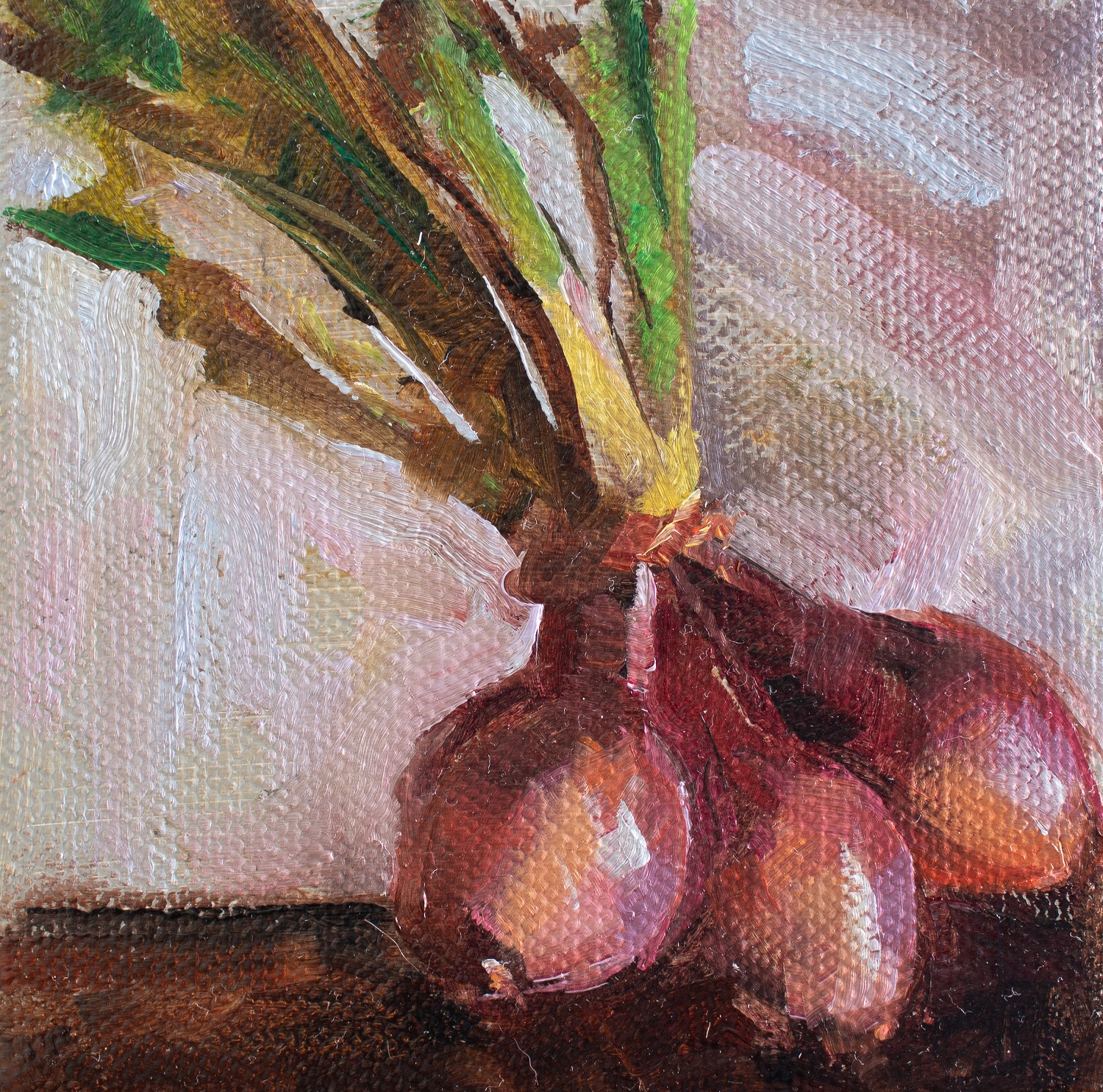 Jonelle Summerfield Oil Paintings Red Onions