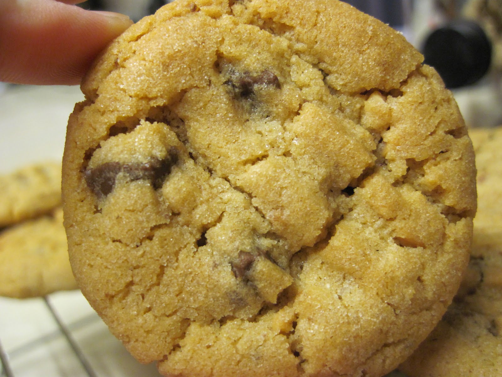 The Sugar Lump Peanut butter Chocolate Chip Cookies