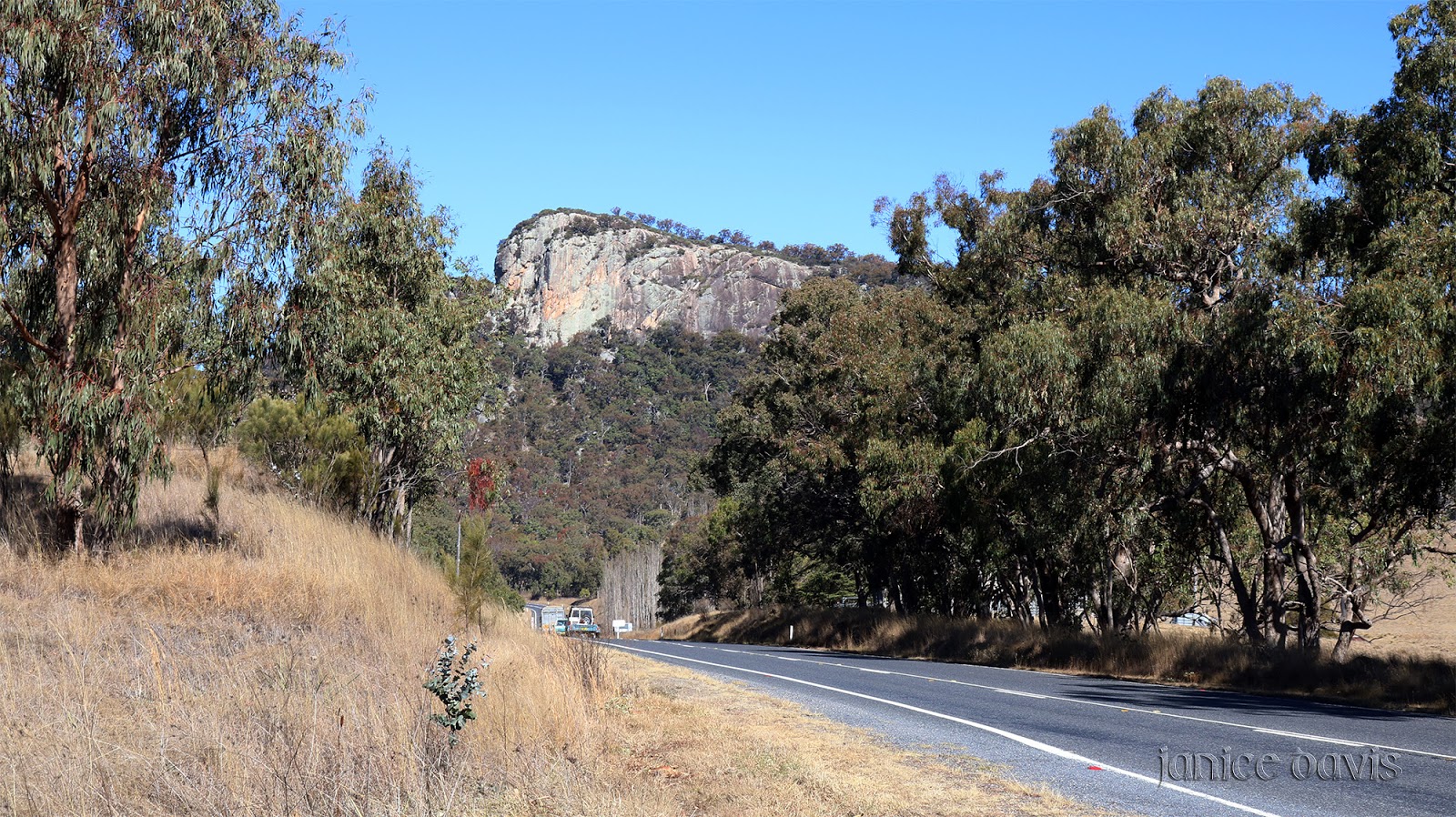 thoughts & happenings Not far from Tenterfield NSW