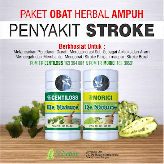 obat herbal stroke ringan obat herbal stroke ringan, obat herbal stroke, obat stroke ringan