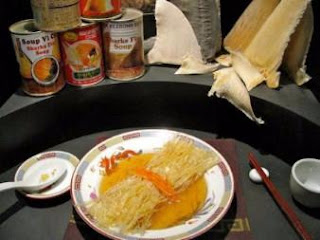 Sopa de tiburón