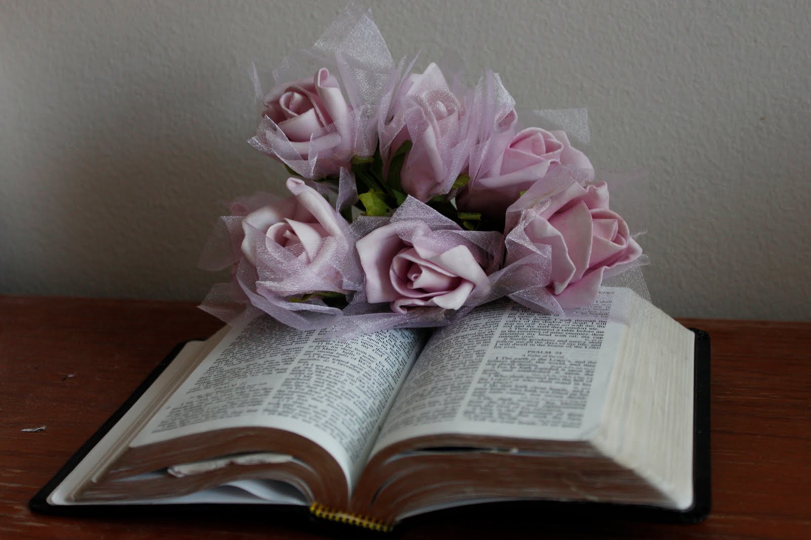 Chelsea's Creative Archive Bible Photos