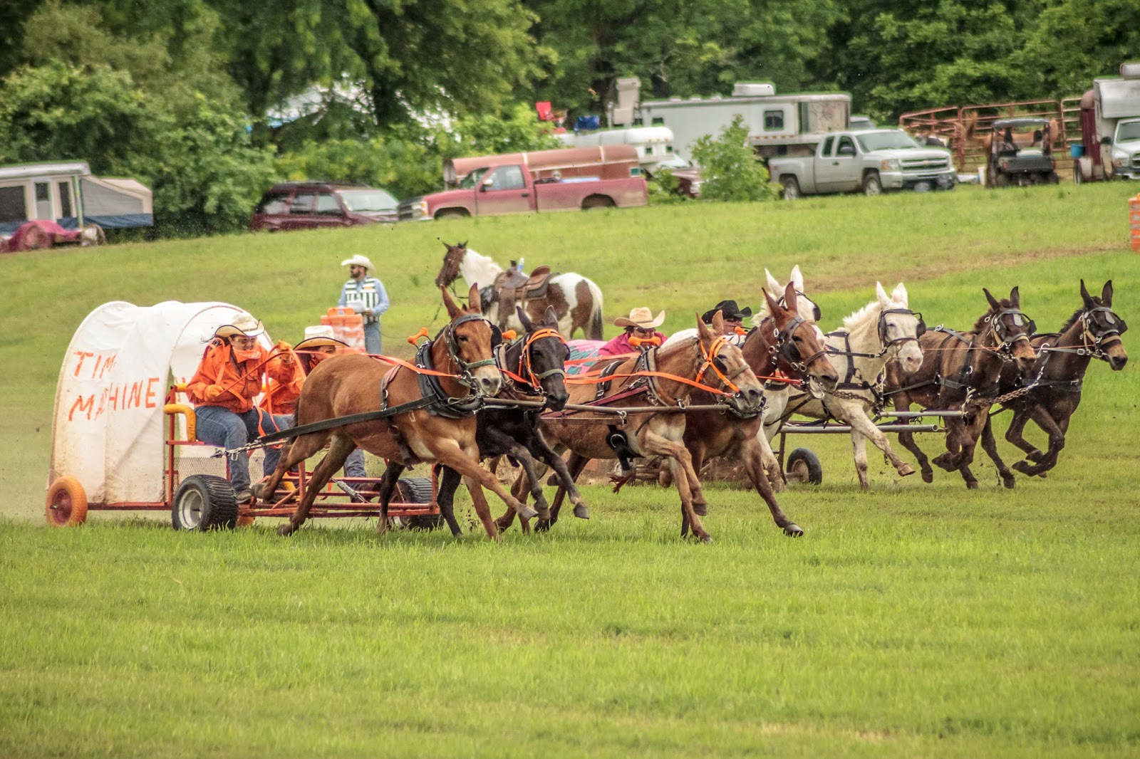 Mules and More Magazine 10th Annual Rock Bottom Chuck Wagon Races