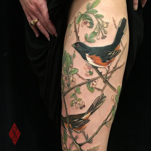 Feliz aves de pe sobre ramos