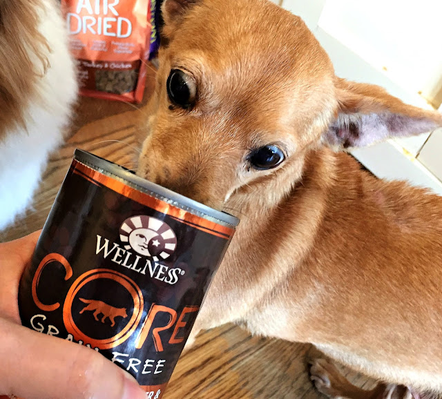 Petsmart Canada Wellness Core Dog Petsmart Canada Wellness Core Dog