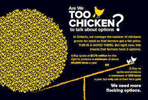 Flocking Options for Small Scale Farmers