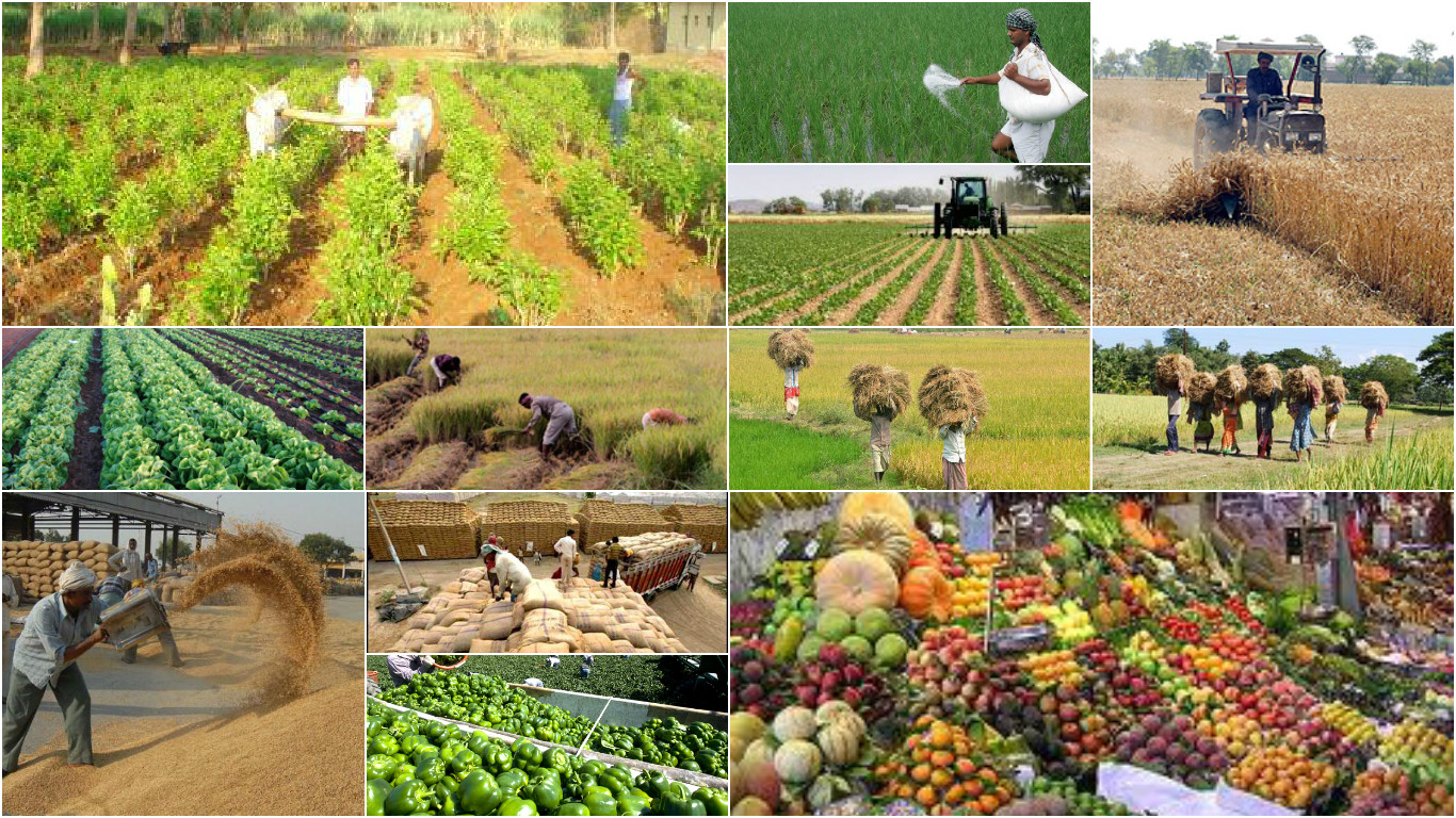 17 Good Opportunities for Entrepreneurs in the Indian Agriculture Industry