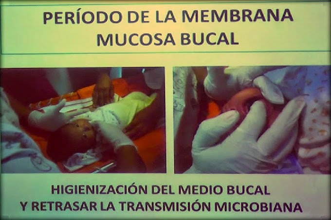 VIDEOCONFERENCIA: Prevención de la transmisión microbiana madre - bebé - Dr. César Arellano Sacramento