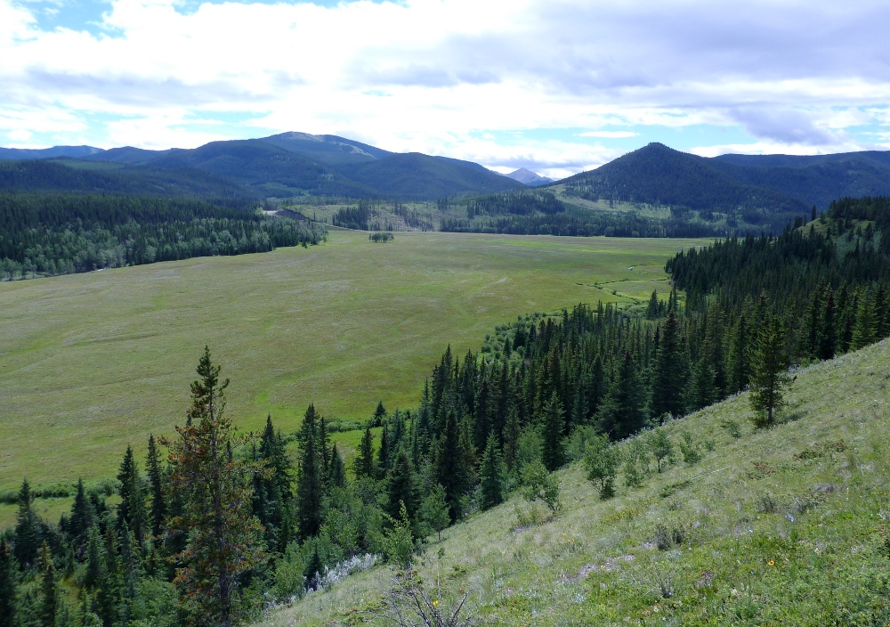 Another Side of this Life CR2012 Sibbald Creek and Deer Trail