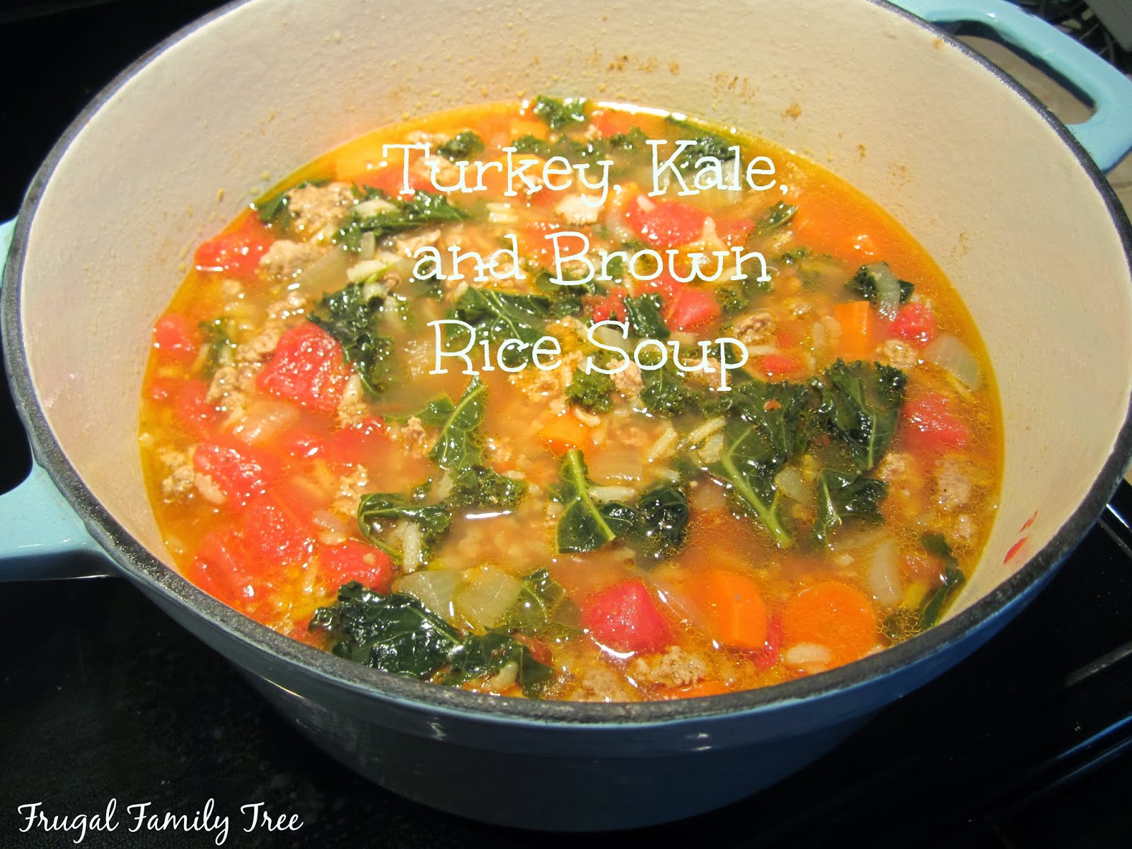 Giada De Laurentiis' Turkey, Kale, and Browm Rice Soup Frugal Family Tree