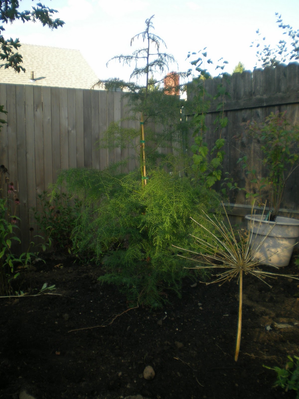 Just a girl with a hammer: Putting the garden to bed for the winter