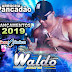 CD WALDO LIMA == ARROCHA PANCADÃ O 2019