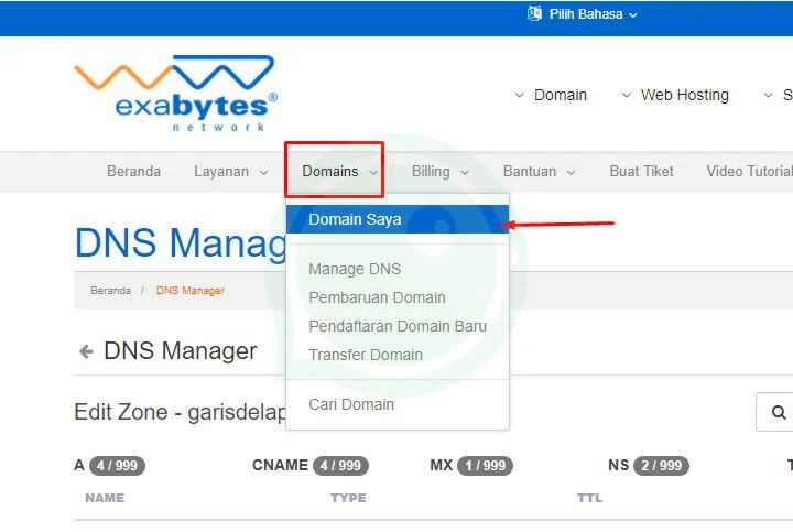 Setting Nameserver pada Manage DNS domain Exabytes .com ke Blogspot