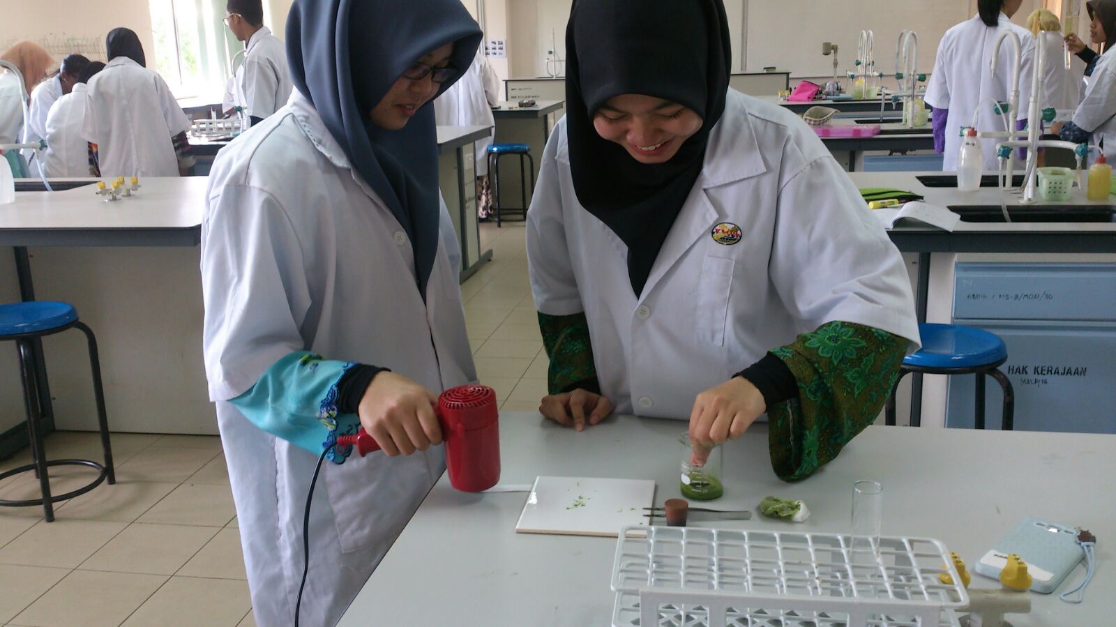 Matriculation Biology Experiment 17 Photosynthesis