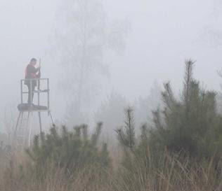 [COM ONF] Calendrier chasse 2021 2022 en forêt domaniale de Fontainebleau