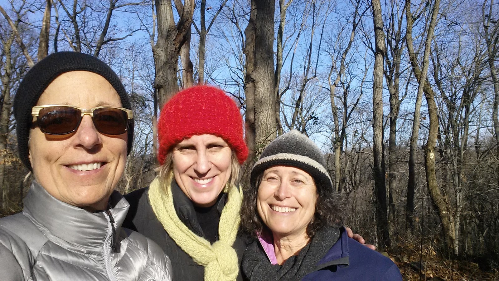 Forest bathing Lasting Landscapes by Carol