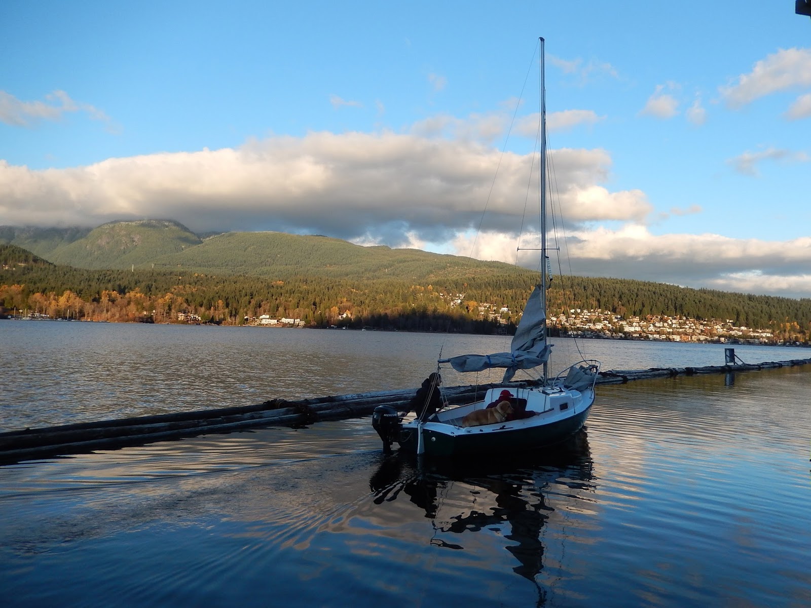Margy Meanders Reed Point Marina in Port Moody, BC