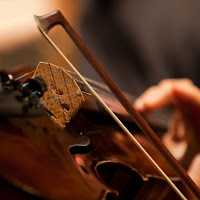 closeup image of a violin