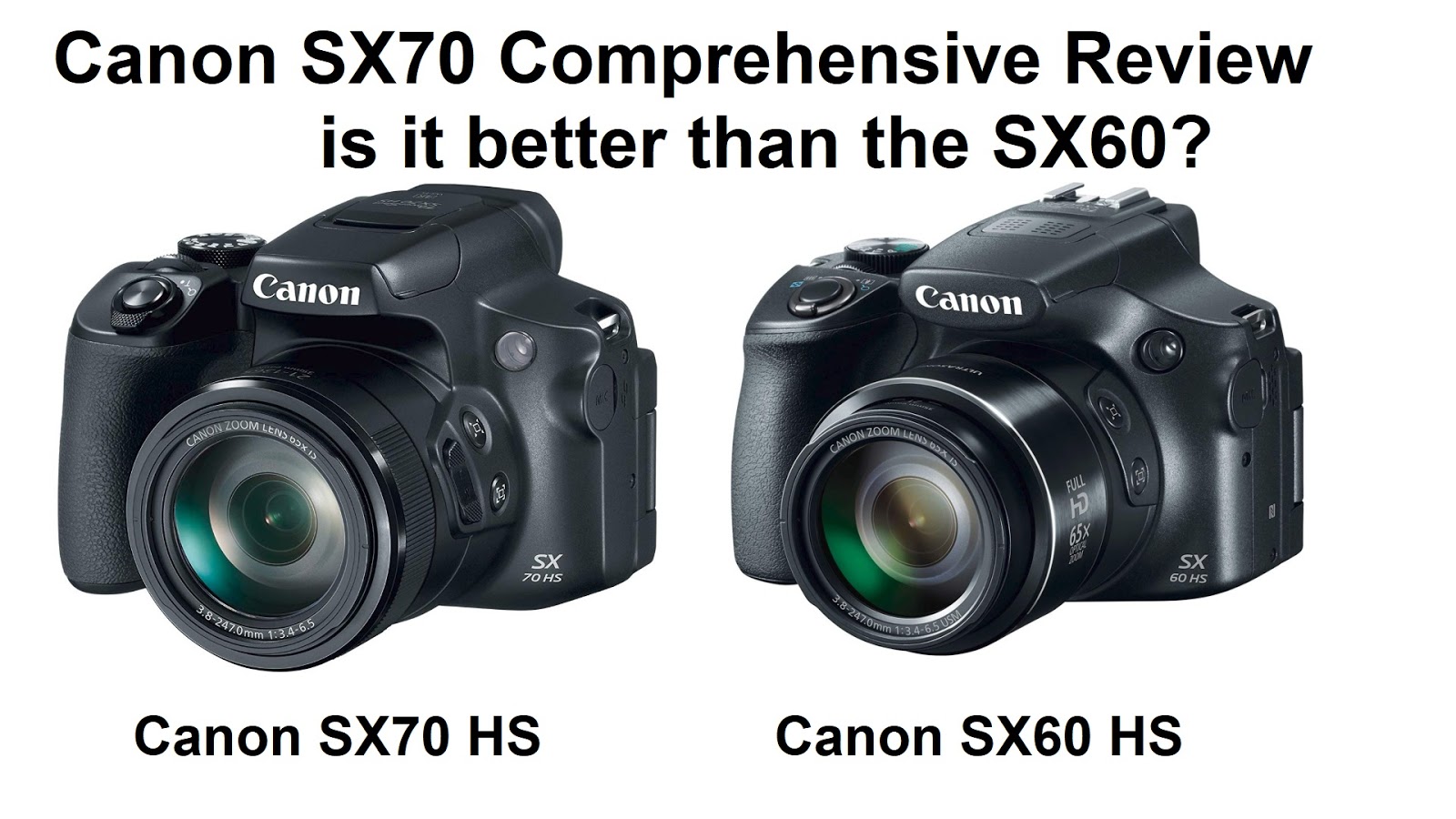 Backyard Birding....and Nature: Canon SX70 and SX60 HS Comparison, Test, Tips and Review