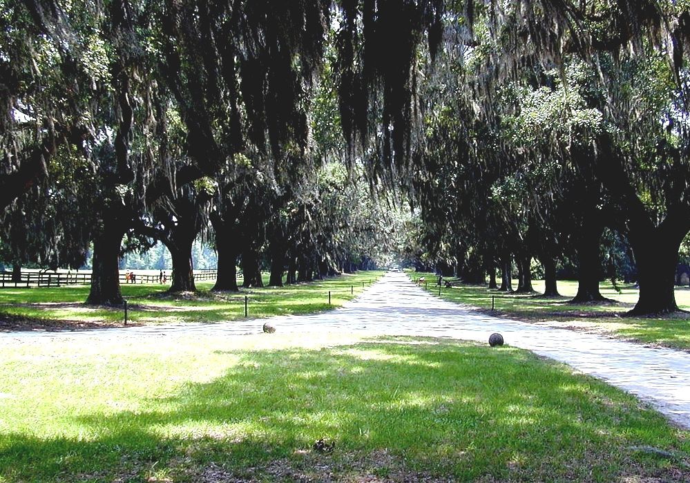Mount Pleasant, South Carolina Mt Pleasant South Carolina Zip Code