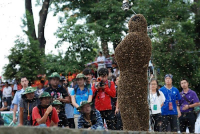 Bee-Bearding Contest in China