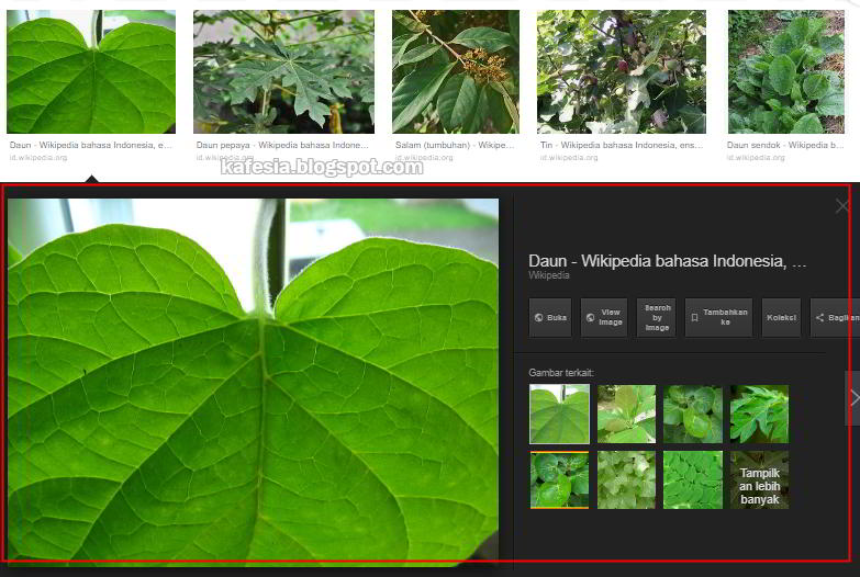 Cara Download Gambar dari Google di Laptop/PC untuk Pemula