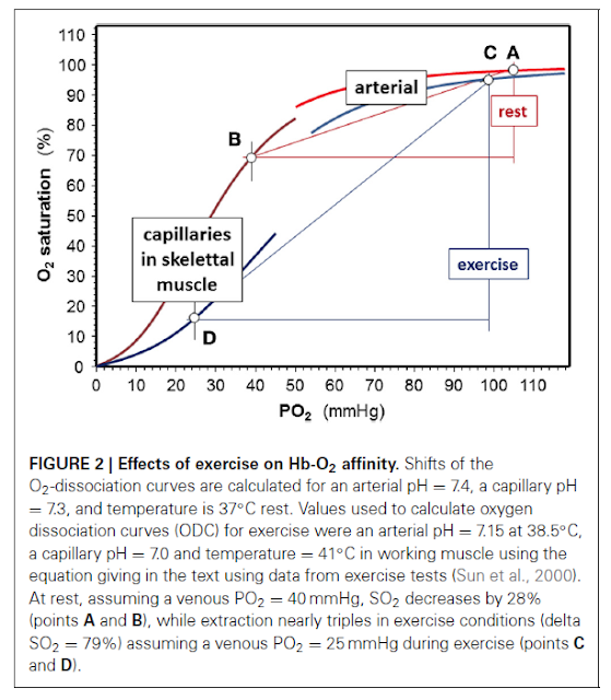 Muscle Oxygen Training O2 desaturation during acidosis the Bohr effect